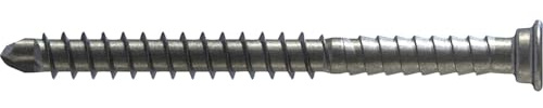 Reisser Terrassenbohrschraube RT5 5,5x80mm Edelstahl A2 mit Bit - Terrassenschrauben für Hartholz - 200 Stück