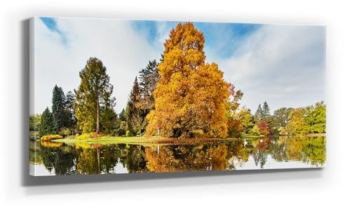 Wunderschöne Wald Leinwand Landschaft, Foto-Motiv – Buche im Herbst – als 110x50cm großes Wandbild. Fertig aufgespannt auf Holzrahmen. Als Hintergrund und Deko für Wohnzimmer & Schlafzimmer