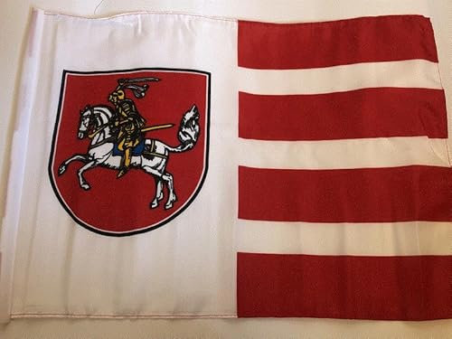 Generisch Dithmarschen Flagge Fahne 30x45 cm Stockflagge
