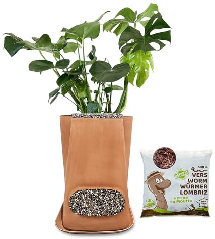 Moutta|Transfarmers Pot de Fleurs et lombricomposteur en Terre-Cuite Naturel 17L|Pack avec 250gr de vers de Compost