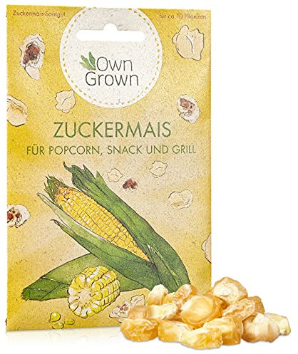 Zuckermais Samen: 3g Premium Mais Samen zur Anzucht von ca. 10 Mais Pflanzen – Gemüse Samen für leckere Maispflanzen – Maissamen Zuckermais – Mais Saatgut für den Garten – Gemüsesamen von OwnGrown