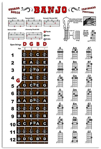 Blechschild Banjo Wissen Metall Poster Musikinstrument Anfängerführer Blechschild Club Zimmer Wanddekoration Druck Plaketten 30 x 20 cm
