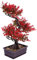 Luxshiny KüNstlicher Bonsai Baum: Japanische Kunstpflanze Mit Topf Dekoration FüR Wohnzimmer, BüRo, Fensterbank Und Badezimmer - 36 cm Hoch