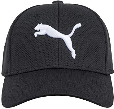 PUMA Unisex-Erwachsene Evercat-Legierungs-Stretch-Fit-K Baseballkappe, schwarz/Silber, S/M