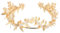 Frcolor Blatt Krone Kopfschmuck, griechische Göttin Perle Blatt Braut Hochzeit Stirnbänder Krone (Gold)