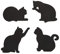 balvi Glasuntersetzer Cat Farbe Schwarz Set bestehend aus 4 Glasuntersetzern in Form Einer Katze Mit