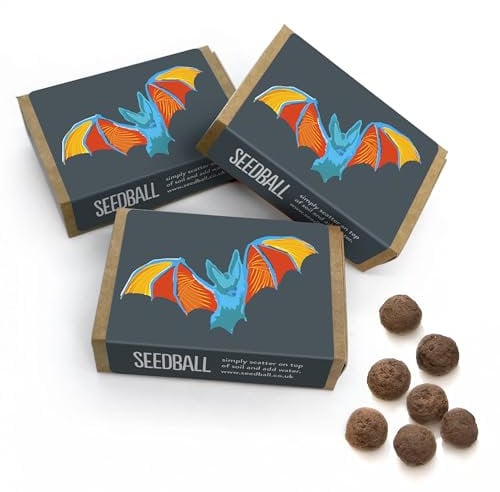 SEEDBALL Bat Mix Wildflower Seed Bombs (Pack of 3, 6 Seed Balls Per Box) | British Wildflower Seed Mix for Attracting Bats to Your Garden | Eco Friendly Stocking Filler & Gardening Gifts for Women
