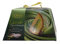 DAIS - PANETTONE VERDE SICILIANO AL PISTACCHIO - 800 GR