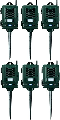 Pestbye® Ultrasonic Smart Link Cat Repellent System - Battery Powered Motion Activated & Waterproof - The Ultimate in Cat Repellers with Ground Stake - Set of 6
