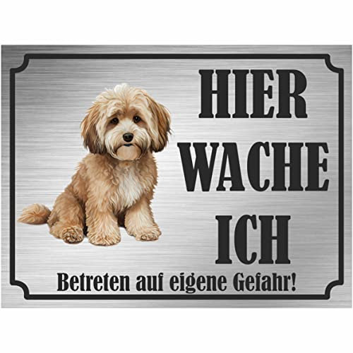 INDIGOS UG - Maltipoo - Schild bedruckt - Hier wache ich - Aluverbundplatte Edelstahl Look - ab 20x15 cm - Spruch - Deko Geschenkidee für Ihren Hund - Zaun - Türschild