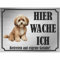 INDIGOS UG - Maltipoo - Schild bedruckt - Hier wache ich - Aluverbundplatte Edelstahl Look - ab 20x15 cm - Spruch - Deko Geschenkidee für Ihren Hund - Zaun - Türschild