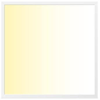 WSU Lights LED Panel, Deckenleuchte, 62x62cm, 4400lm, 3000K, 40W, inkl. Trafo, Rasterleuchten, Einlegeleuchte, Büroleuchten (3000K, 1 Stück)