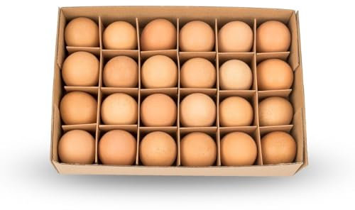 NaDeco Natürliche Dekoeier von, Gänseeier, Wachteleier, Hühnereier, Enteneier, Truthahneier für Ihre Osterdekoration zur Auswahl, Farbe:Hühnereier Braun 24 Stk.