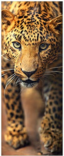 Wallario Glasbild Leopard in Nahaufnahme beim Laufen - 32 x 80 cm Wandbilder Glas in Premium-Qualität: Brillante Farben, freischwebende Optik