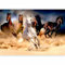 murando - Papier peint panoramique animal 400x280 cm - Revêtement mural décoration pour chambre salon cuisine - Design unique et moderne - Blanc marron bleu - Chevaux sable animaux g-C-0222-a-a