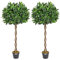 Christow Artificial Bay Tree In Pot, Large 3ft 4ft Tall Indoor Outdoor Garden Topiary Ball, Twisted Wooden Trunk, Realistic Lush Green Leaves, Home Office Restaurant (4ft, 2 pack)