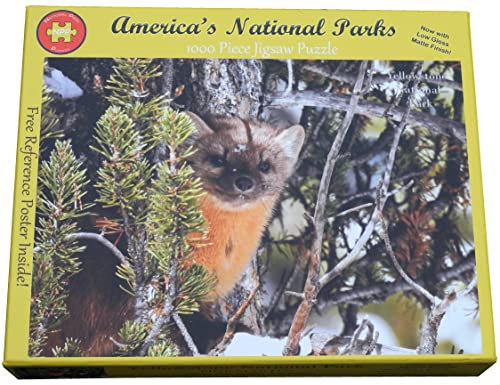 Yellowstone Nationalpark Pinienmarder, 1000 Teile Puzzle für Erwachsene