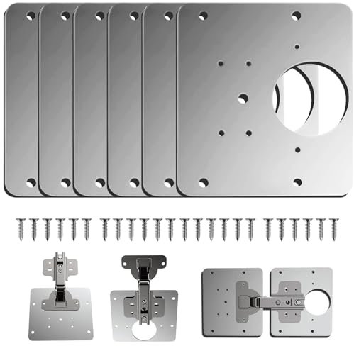 Armario placa de reparación de bisagras (6)