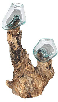 SAWA Deko Glasvasen Doppel Blumenvasen 40cm auf Treibholz/Wurzelholz spezielle Vasen mit Wurzel Holz Dekovase Geschenk-Idee