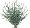 CEWOR künstliche Eukalyptus-Dekozweige, künstliche Eukalyptusblätter, grüne Zweige für Hochzeit, Tafelaufsatz, Blumenarrangement, Landhaus Heimdekoration, 24 Stück