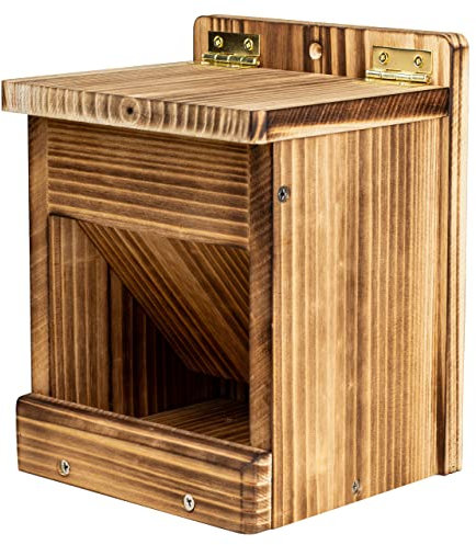 BalterFF Vogelfutterspender für den Außenbereich, Holz, einzigartiger Samen-Sonnenblumen-Futterspender mit blauem Kardinalfinken, Hinterhof, Plattform, mühelose Halterung, automatisches Geschenk