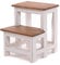 PFLANZENTREPPE Step | 46x37x37 cm (HxBxT), Altholz, zweistufig | rustikales Blumenregal, Pflanzenhocker, Deko-Ständer, handgefertigt | Farbe: 06 weiß-Landhaus