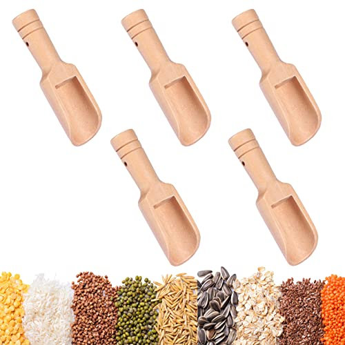 Cucchiaini Sale Legno 5 Pezzi Mini Cucchiaio Sale Bagno Mini Cucchiaio Legno Mini Paletta Spezie Mini Paletta Farina Cucchiai Cucina Legno Cucchiaini Sale Per Caffè Tè Sale Spezie Zucchero Aromi