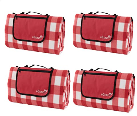 eGenuss 4 Sets Picknickdecke 200x200 cm wasserdicht isolierend abwaschbar faltbar kleines Packmaß | Picknick Strandmatte mit Reißverschlusstasche, Griff und Schulterrieme | Rot