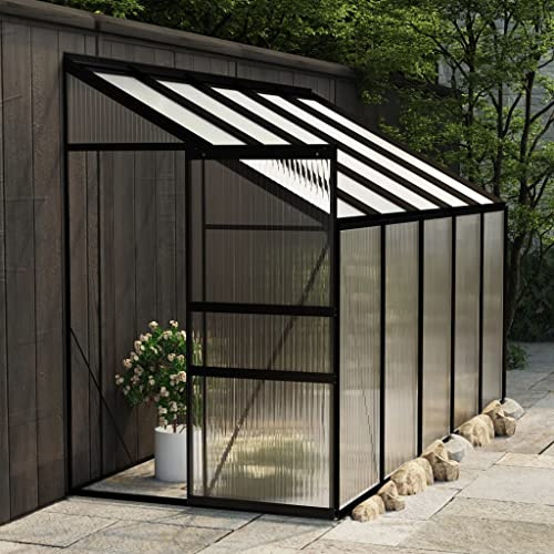 TEKEET Serre de jardin en aluminium Anthracite 6,23 m³