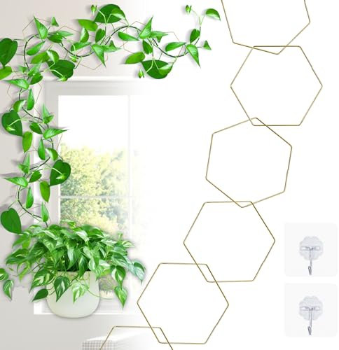 20 Stück Kettenspalier für Kletterpflanzen, Kettenspalier, hängende Gartenkette, Rankgitter, Pflanzen, Edelstahlkette, Rankgitter für Kletterpflanzen, drinnen und draußen (Gold)