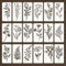 JJUNW 18 Stück Blätter Schablone, Malerei Schablonen Set Blumen Wildblumen Wiederverwendbare Zeichenschablonen Weihnachten Schablonen für Scrapbooking Wand Boden Deko (15 x 7,5 cm)