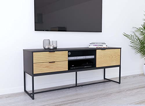 DecoInParis Meuble TV 2 tiroirs 1 Porte en Bois Clair et métal Noir TISSIA