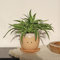 Winkee - Crying Pot Blumentopf | Keramik Blumen-Vase für kreative Dekorationen - modern Blumenvase | Hochwertige Dekoration | Geschenk zum Muttertag, Geburtstag, Weihnachten