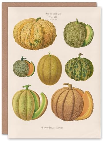 Artery8 Ernst Benary Art Card Melon Varieties Vintage Illustration