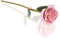 niumanery 24K Gold Rose Flower Gilded Preserved Flowers Ornaments Gift for Valentine’s Day Light Pink