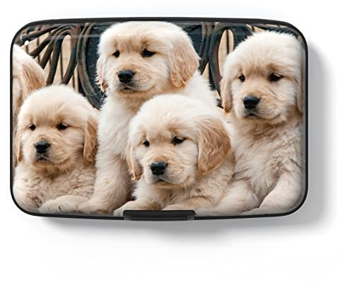 Hsxnam Étui pour cartes de crédit en aluminium avec blocage RFID - Joli étui pour cartes de visite pour homme et femme, Chiens mignons, Moderne