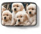 Hsxnam Étui pour cartes de crédit en aluminium avec blocage RFID - Joli étui pour cartes de visite pour homme et femme, Chiens mignons, Moderne