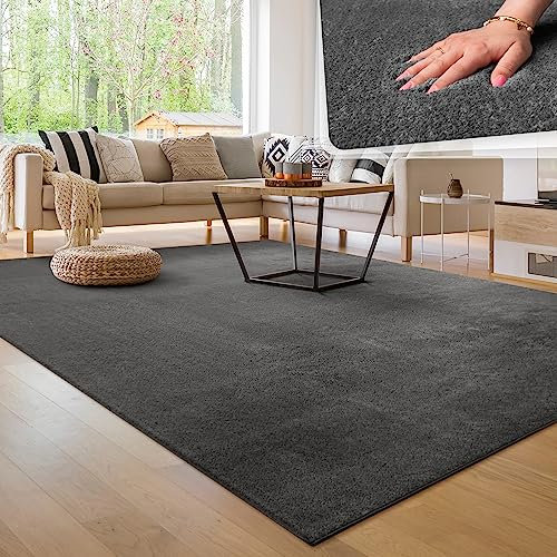 Paco Home Moderner Kuscheliger Wohnzimmer Teppich Kurzflor waschbar flauschig Weich Einfarbig Felloptik zeitlos stilvoll rutschfest pflegeleicht, Grösse:200 cm Quadrat, Farbe:Anthrazit