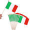 Bastone di Legno 10 pezzi bandierine italia bandiera italiana piccola bandiere Bandiere Dell'Italia 21.5x14 cm fascia tricolore sindaco Bandiera con bastone in legno naturale da 30 cm