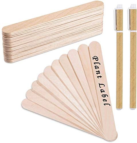 Whaline 100Stk Holz Pflanzenschilder Pflanzenstecker Popsicle Sticks Holzstäbchen Natürliche Craft Sticks Etikette für Handwerk DIY Dessert Machen Garten Pflanzen mit 2 Marker Stiften (15 cm)