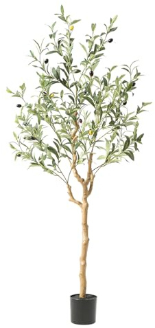 Nafresh Olive Tree 4ft