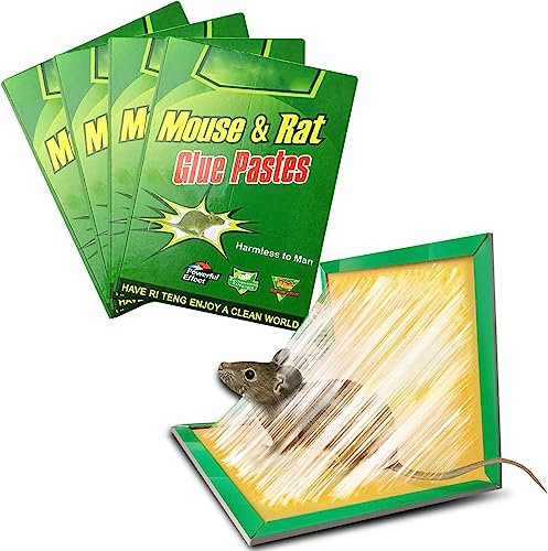 ALLBASA Piege a Souris, Piege a Rat,Colle Souris Piege Attrape Souris Anti Souris Plaques Collantes Souris, Plaques de glu Anti Souris Anti Rat (10pcs)