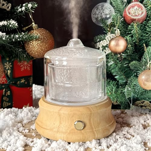 Diffuseur en verre 81 ml