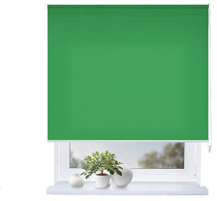 Rollmayer Classic Rollo mit Bohren, Seitenzugrollo Rollo fur Fenster und Tur (Classic Grun,140x130 cm (BxH))