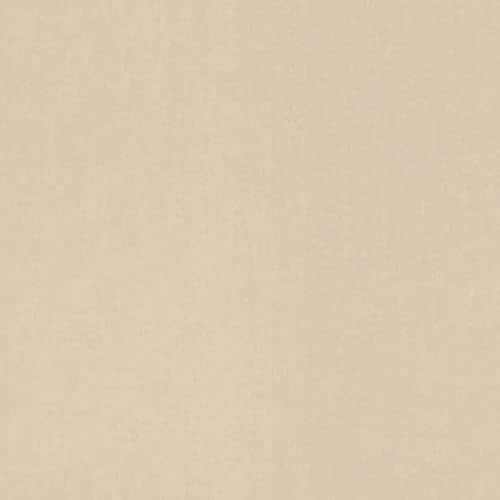 Rasch Tapete 710434 - Glatte Vliestapete mit textiler Optik in Beige aus der Kollektion Sophia - 10,05m x 0,53m (LxB)