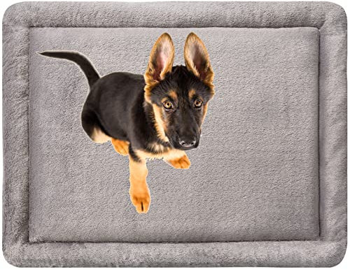 MyBestBuddy Hundekissen Komfort grau 140x100 cm XXXL, allergikerfreundlich (100% Polyester), rutschfest - 40°C waschbar mit flauschigem Stoffbezug - Hundematte BZW. Hundebett für sehr große Hunde