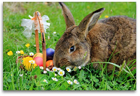 Premium Textil-Leinwand 120 x 80 cm Quer-Format Osterhase Anton beim Ostereier verstecken, Leinwanddruck von Jana Thiem-Eberitsch