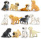 toymany 12PCS Dog Figurines Playset, Realistic Detailed Plastic Mini Puppy Figures, Hand Painted Emulational Tiny Dogs Animals Toy Set, Cake Toppers Christmas Birthday Gift for Kids Toddlers