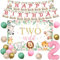 Jollyboom Two Wild Birthday Decorations Girl, Pink Safari Jungle Animal 2nd Birthday Party Decorations Backdrop Banner Sage Green Pink Gold Balloons Number 2 Foil Balloon for 2 Year Old Girl Birthday