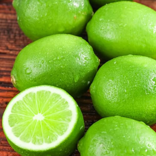 100 pcs Zitronenbaum samen, samen anzucht，bäume garten winterhart balkon deko，gartendeko für draußen blumen garten，pflanzen garten，Dekorative Pflanzen bio saatgut，pflanzen für sonnige